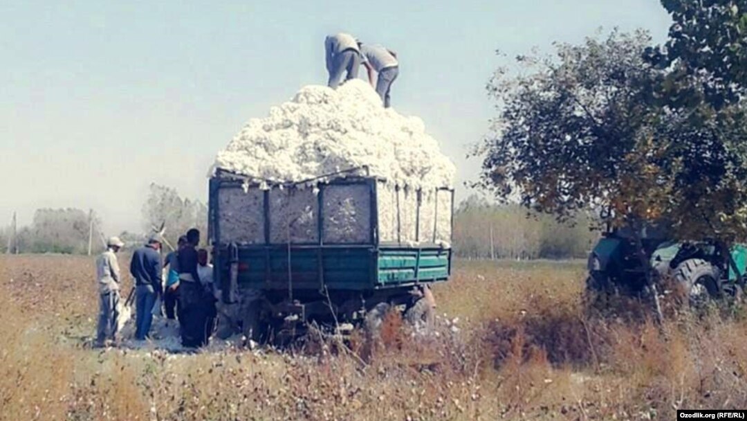 Иллюстратив сурат.