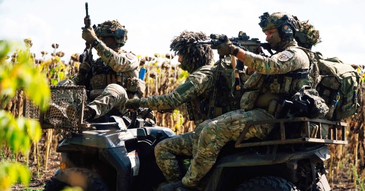 Третина українців вважає потужну армію найкращою гарантією безпеки