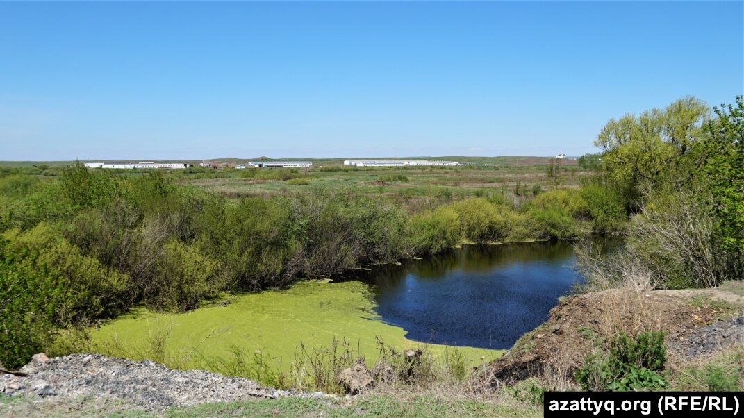 Қоғамдық агент порно жаңа