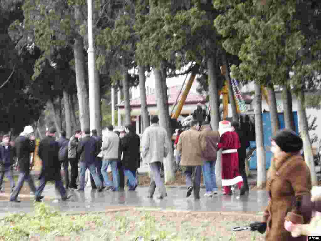 Bəzi şaxtababalar isə gəzintiyə çıxıb