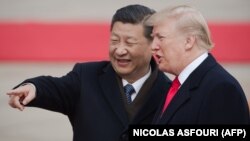 Xi Jinping və Donald Trump