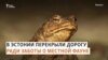 Защитить тропу лягушек: опыт Таллинна