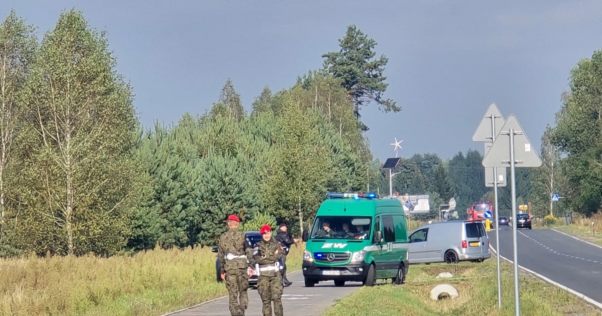 НАТО прокоментувало можливість збиття російських дронів над Україною