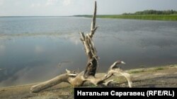 Дзікае возера. Любанскі р-н, Менская вобласьць. Аўтарка Натальля Сарагавец 