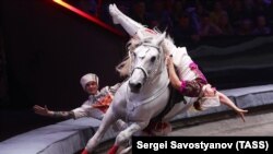 Predstava Moskovskog državnog cirkusa. 