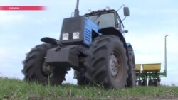 Украинские аграрии из разных областей вышли на митинг в Киеве (видео)