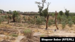 آرشیف، خشکسالی در افغانستان