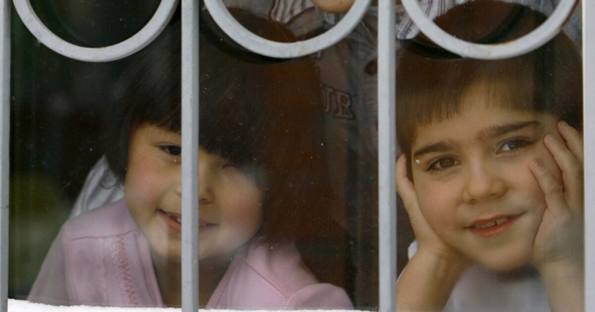 Кішкентай Люпе барлық фотосуреттер