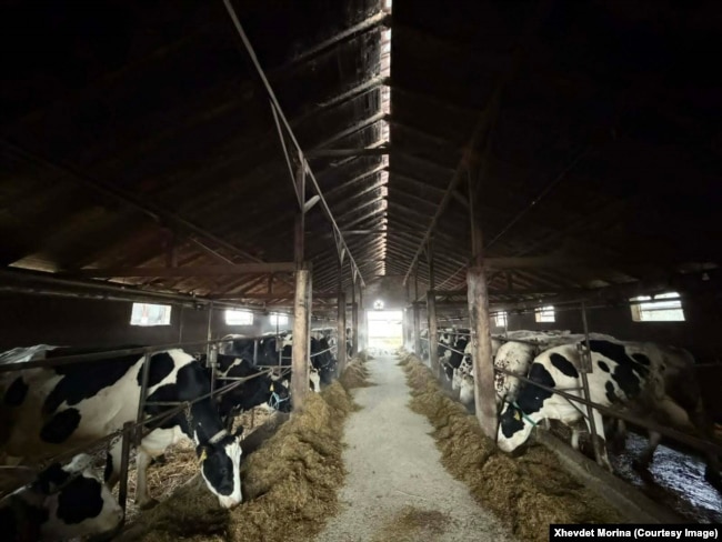 Ferma e Xhevdet Morinës, në Rogovë të Hasit, Gjakovë