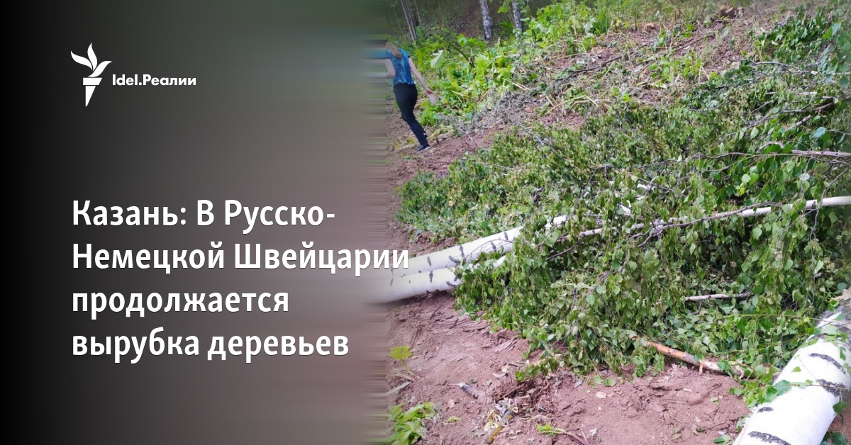 Казань: В Русско-Немецкой Швейцарии продолжается вырубка деревьев