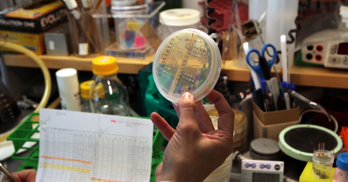 Отыз жасар орыс әйелімен жыныстық қатынас Yakt porn ru