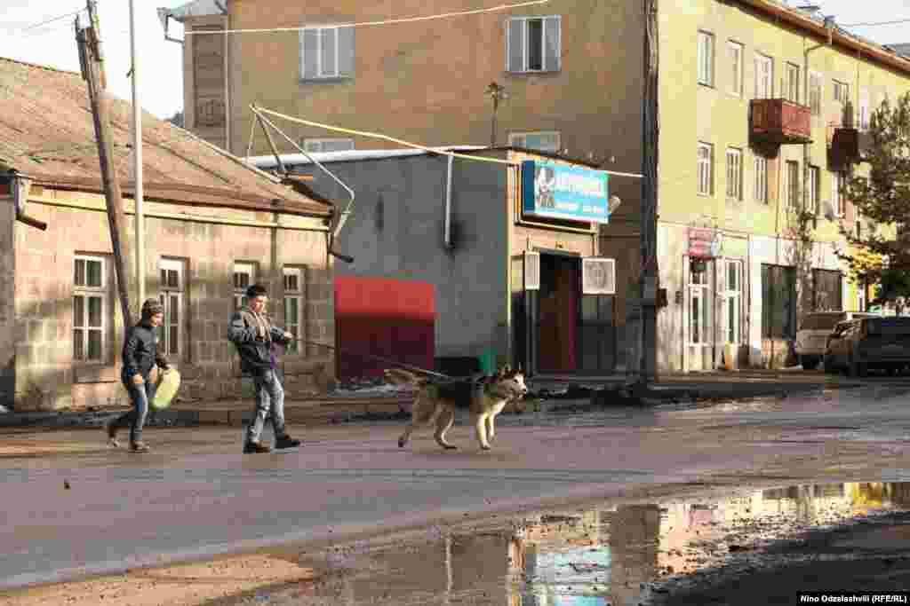 როგორც ნინო ოძელაშვილის ამ ფოტოზე ჩანს, ახალქალაქის ქუჩებში ძაღლი ასეირნებს ბიჭს.