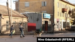 Axalkalaki şəhərindən göndərilən bu fotodan görünən odur ki, it oğlanı gəzməyə çıxarıb. Foto Nino Odzelashvili-nindir
