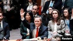 Майк Волтс, сафири Амрико дар Созмони Милали Муттаҳид