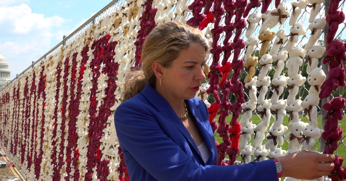 With 20,000 Teddy Bears In Washington, Ukrainian Activists Say 'Bring Kids Back' From Russia