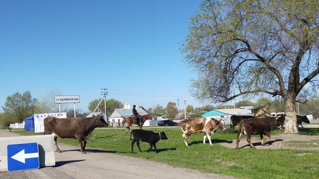 Жалаңаш қытайлық үй шаруасындағы әйелдердің суреттері