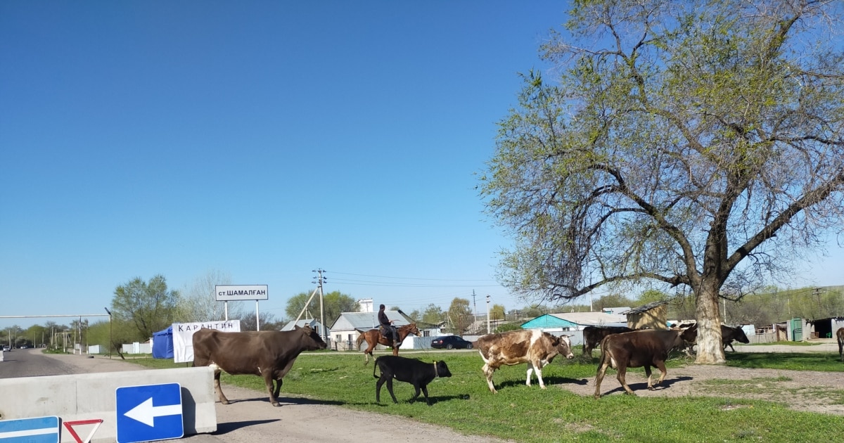 Порно секс анимация