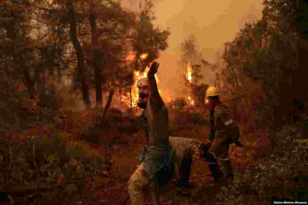 Një vullnetar duke kërkuar ndihmë, teksa një zjarr i egër përhapej në fshatin e Galatsonës, në ishullin e Evias, në Greqi. (9 gusht)