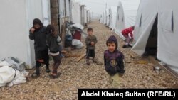 Ирактағы босқындар лагерінде тұрып жатқан езид балалары (Көрнекі сурет).