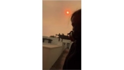 Видео из дома в Лос Анжелесе известного фотографа Саши Самсоновой.mp4