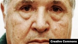 Salvatore Riina, anul 1993