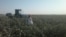 Рабочие на хлопковых полях в Узбекистане.  12 сентября 2012 года. 