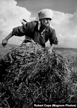 Faimoasa fotografie a unei femei adunînd fîn la un colhoz din URSS făcută de Robert Capa în august 1947