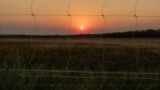 Военнослужащий 24-й отдельной механизированной бригады ВCУ имени короля Данила в районе города Часов Яр в Донецкой области, Украина, 22 июля 2025 года