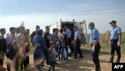 Migrantët presin hyrjen në Kroaci në fshatinTovarnik, afër kufirit Kroaci - Serbi, 16 shtator 2015