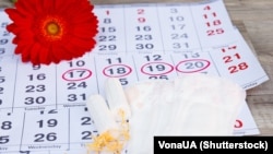 Kalendari i menstruacioneve, ku shihen tampona pambuku dhe peceta higjienike. Fotografi ilustruese. 
