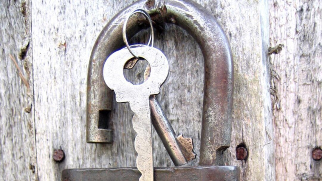 Жыныстық әйел береді