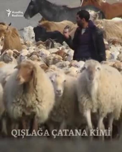 'Kredit versələr, lap 5 ailəni dolandıraram'