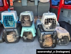 Евакуація тварин