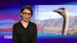 Настоящее Время. Азия - 24 декабря