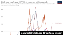 BSG keseliň deltanyň görnüşiniň indi 111 ýurtda kesgitlenendigini aýtdy.