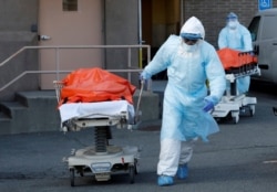 Медичні працівники вивозять тіла померлих від COVID-19 у Бруклінському районі Нью-Йорка