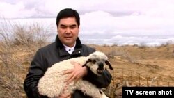Президент Гурбангулы Бердымухамедов.