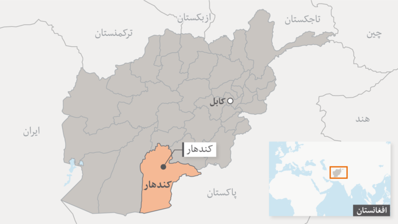 چاواکي: د کندهار د شاولیکوټ لپاره د طالبانو نظامي مسؤل وژل شوی