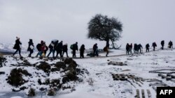 Փախստականներ Եվրոպայում, հունվար, 2016թ․