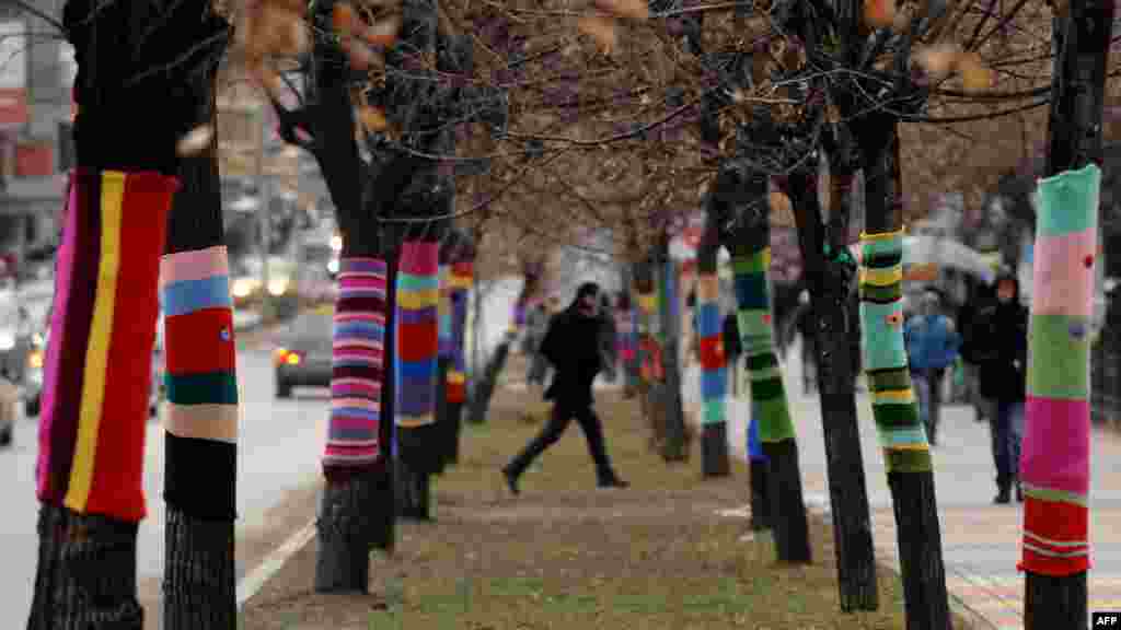 People walk past decorated trees in the Kosovar capital, Pristina. (AFP/Armend Nimani)