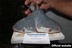 © Patrick Rice, Shark Defense/Florida Keys Community College