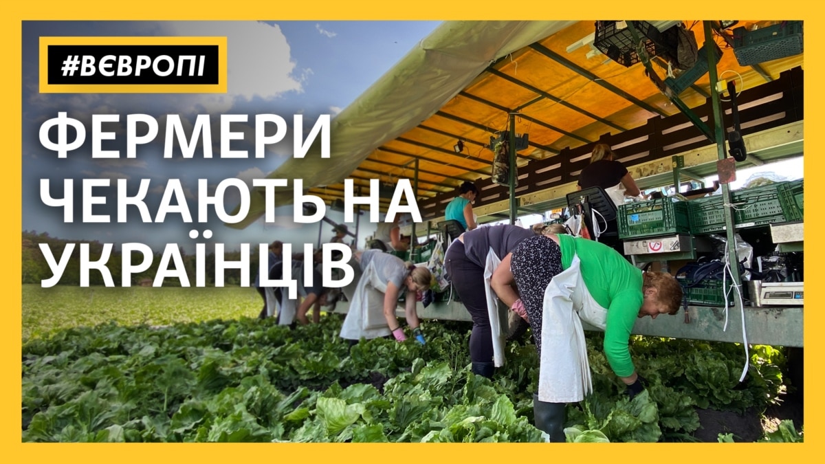 oi5.ru: «Без украинцев будет катастрофа» – чешские фермеры ждут гастарбайтеров «Без украинцев будет катастрофа» – чешские фермеры ждут гастарбайтеров