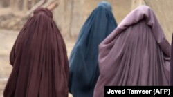 ارشیف، عکس تزئیني بڼه لري
