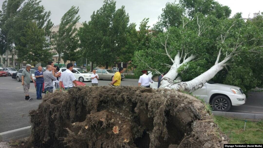 Упал шифер на машину от сильного ветра что делать