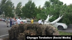 Последствия шквалистого ветра в Бишкеке, 2017 г.