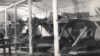 Барак у лягеры для дэпартаваных «Волголаг» у Расеі, 1940 год