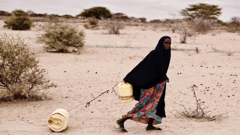 'Nacionalna katastrofa', suša u Južnoafričkoj Republici