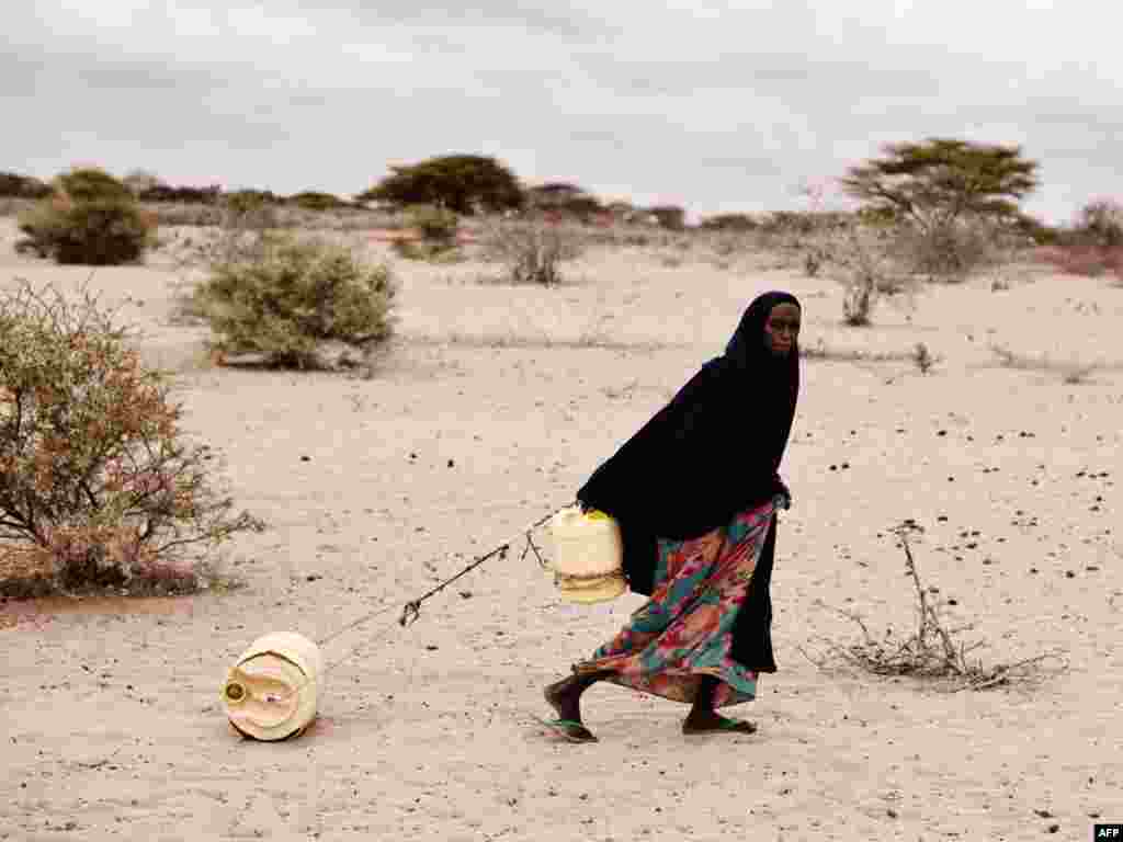 Bintou Ibrahim Omar, 50, pulls a container of water for her family in Elhado, Kenya. Parts of east Africa, including Kenya, Ethiopia and Somalia, have been suffering from years of severe drought. This week, the UN declared that two regions of southern Somalia are suffering the worst famine for 20 years and that 3.7 million people face starvation. Bintou travels two to three times a day, 2 km each way, to fetch water.Photo by Jakob Dall for Reuters