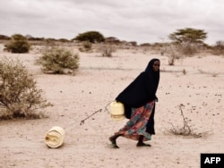 Женщина катит по пустыне контейнер с водой для своей семьи. Засуха в Эфиопии, 2011 год