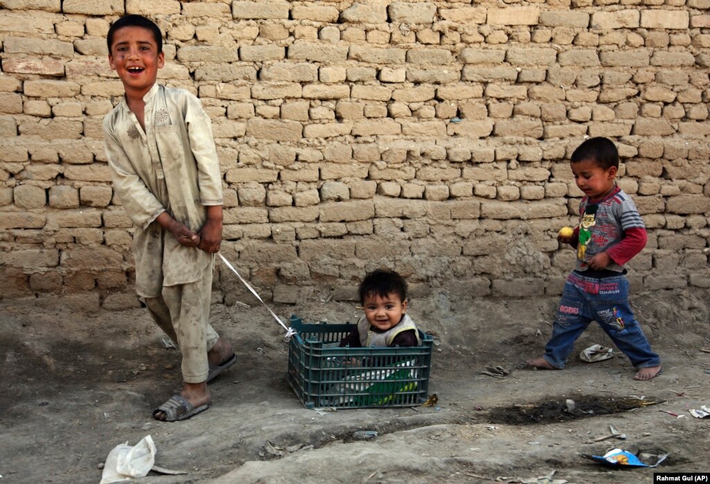 An Afghan boy pulls his little brother in a basket on the outskirts of Kabul. (AP/Rahmat Gul)